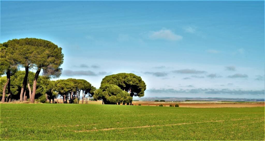 La Armuña - Salamanca