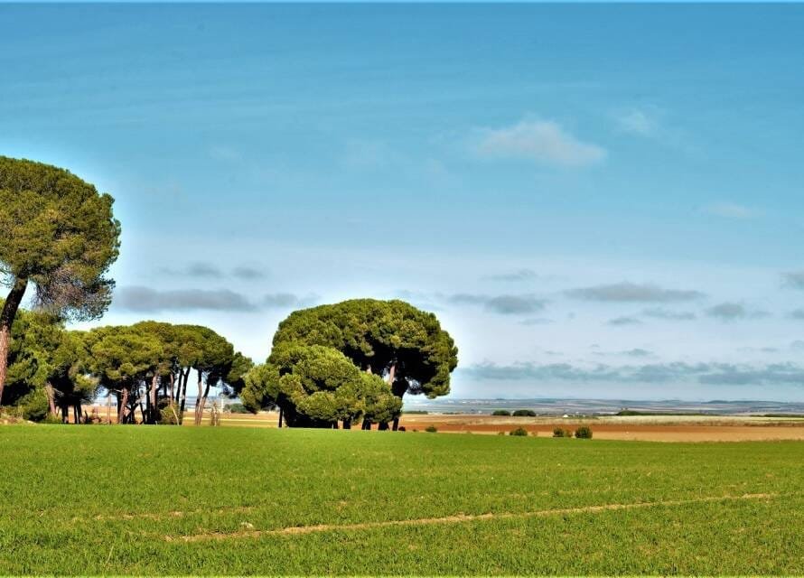 La Armuña - Salamanca