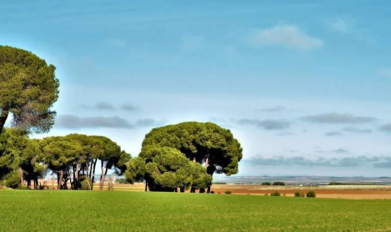 La Armuña - Salamanca